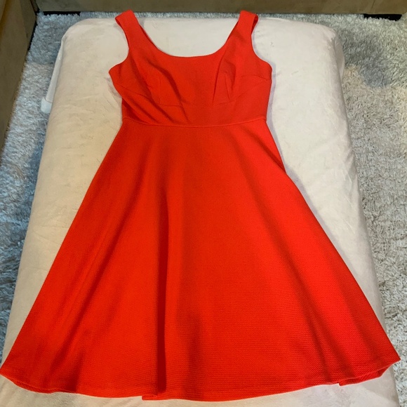DM Collection Tomato Red Color Sz 8 Women’s A line dress - Picture 1 of 8